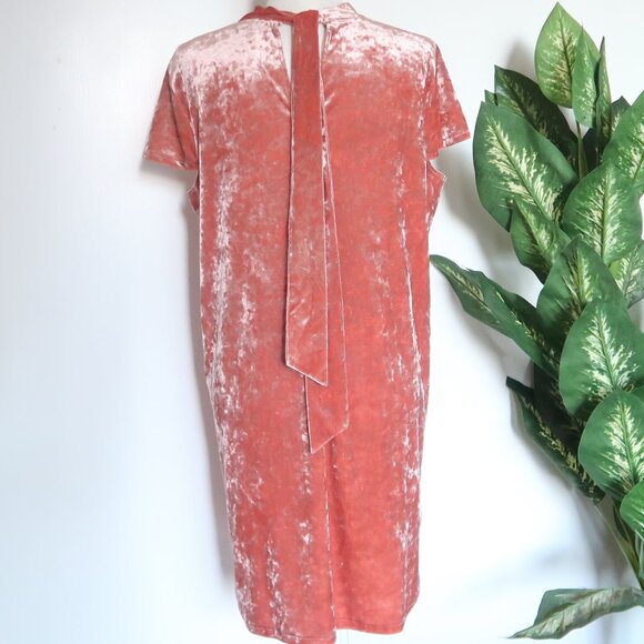 Madewell Blush Pink Crushed Velvet Dress Tie Back Short Sleeve Mock Neck Size L - Picture 12 of 13